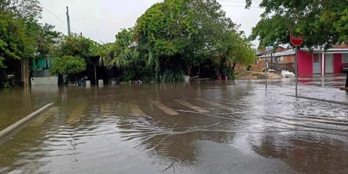 Temporal provoca alagamentos, bloqueios e deixa centenas de desalojados no Rio Grande do Sul Chuvas intensas atingiram pelo menos 19 municípios gaúchos e mantêm Defesa Civil em alerta para risco de deslizamentos e novos temporais Meta descrição: Fortes chuvas no Rio Grande do Sul causam alagamentos, interdições em rodovias e deixam mais de 500 pessoas desalojadas. Defesa Civil mantém alerta para deslizamentos. As fortes chuvas que atingiram o Rio Grande do Sul entre a tarde de sexta-feira (1º) e a madrugada deste sábado (2) provocaram uma série de transtornos em diferentes regiões do estado. Segundo a Defesa Civil do Rio Grande do Sul, ao menos 19 municípios registraram ocorrências relacionadas ao temporal, incluindo alagamentos, quedas de árvores, danos em residências e bloqueios em rodovias. O município mais afetado foi Rosário do Sul, na Fronteira Oeste, onde o acumulado de chuva chegou a 324 milímetros em apenas sete horas. O volume provocou o alagamento de 225 imóveis e deixou 512 pessoas desalojadas, que precisaram buscar abrigo em casas de familiares e amigos. As autoridades ainda investigam duas mortes possivelmente relacionadas ao temporal. Uma delas ocorreu em Canguçu, onde um homem de 24 anos teria sido atingido por uma descarga elétrica. O segundo caso envolve uma mulher de 25 anos atingida pela queda de um eucalipto na zona rural de Bom Retiro do Sul. Além disso, equipes de resgate realizam buscas por três pescadores desaparecidos na região de Pelotas. Apesar da gravidade da situação, não houve necessidade de abertura de abrigos públicos até o momento. Técnicos da Defesa Civil foram enviados para avaliar os danos e analisar a possibilidade de decretação de situação de emergência em algumas cidades. Entre os principais impactos provocados pelo temporal estão: * 19 municípios atingidos em diversas regiões do estado; * Mais de 500 pessoas desalojadas; * Acumulados de até 324 mm de chuva em poucas horas; * 225 residências alagadas em Rosário do Sul; * Rajadas de vento superiores a 80 km/h em alguns municípios. Outras cidades também enfrentaram fortes impactos. São Gabriel, Caçapava do Sul e Vila Nova do Sul registraram mais de 200 milímetros de chuva. Em São Gabriel, 21 famílias precisaram deixar suas residências. Também foram registrados alagamentos em Santa Maria, Uruguaiana, Encruzilhada do Sul e Alegrete. Já os municípios de Nova Palma e Júlio de Castilhos registraram queda de granizo. Na capital Porto Alegre, alguns bairros ultrapassaram 100 mm de chuva em 24 horas, especialmente nas regiões do Guarujá e Lami. A Defesa Civil municipal contabilizou pelo menos 14 ocorrências, entre elas alagamentos em vias públicas, danos em telhados e queda de árvore sobre uma residência no bairro Vila Nova. Não houve feridos. Rodovias bloqueadas e danos na infraestrutura As chuvas também afetaram a circulação em rodovias estaduais e federais. A RS-348 foi totalmente bloqueada entre Faxinal do Soturno e Ivorá após a elevação do Arroio Guarda-Mor destruir um desvio provisório. Outro trecho da mesma rodovia, entre Faxinal do Soturno e Dona Francisca, sofreu danos estruturais após o asfalto ceder, exigindo operação no sistema pare e siga. Na BR-290, o trecho do km 353, entre Vila Nova do Sul e São Gabriel, chegou a ser interditado devido à cheia do Arroio Bossoroca, mas foi liberado durante a madrugada deste sábado. Defesa Civil mantém alerta A Defesa Civil do estado segue monitorando o risco moderado de deslizamentos, especialmente em áreas de encosta. Os alertas permanecem para municípios como Caxias do Sul, Muçum, Parobé e Três Coroas até a madrugada de domingo (3). Na sexta-feira, o Instituto Nacional de Meteorologia emitiu alerta vermelho de grande perigo para tempestades em praticamente todo o estado, prevendo volumes superiores a 100 mm por dia, ventos acima de 100 km/h e possibilidade de granizo. O órgão reforça o risco de alagamentos severos, quedas de árvores, danos estruturais e interrupções no fornecimento de energia elétrica. Orientações à população As autoridades orientam que moradores evitem áreas alagadas e regiões de encosta durante as chuvas, desliguem aparelhos elétricos em caso de tempestade e procurem locais seguros em situações de risco. Em emergências, os contatos devem ser feitos pelos telefones 199, da Defesa Civil, e 193, do Corpo de Bombeiros. Apesar da redução da intensidade da chuva na manhã deste sábado, a previsão meteorológica indica possibilidade de novos temporais isolados ao longo do fim de semana, mantendo o Rio Grande do Sul em estado de atenção. #RioGrandeDoSul, #Temporal, #Chuvas, #DefesaCivil, #Alagamentos, #Tempestade, #PortoAlegre, #RosárioDoSul, #Deslizamentos, #Clima, #Granizo, #Rodovias, #BR290, #Inmet, #Emergência, #TemporalNoSul, #PrevisãoDoTempo, #DesastresNaturais