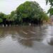 Temporal provoca alagamentos, bloqueios e deixa centenas de desalojados no Rio Grande do Sul Chuvas intensas atingiram pelo menos 19 municípios gaúchos e mantêm Defesa Civil em alerta para risco de deslizamentos e novos temporais Meta descrição: Fortes chuvas no Rio Grande do Sul causam alagamentos, interdições em rodovias e deixam mais de 500 pessoas desalojadas. Defesa Civil mantém alerta para deslizamentos. As fortes chuvas que atingiram o Rio Grande do Sul entre a tarde de sexta-feira (1º) e a madrugada deste sábado (2) provocaram uma série de transtornos em diferentes regiões do estado. Segundo a Defesa Civil do Rio Grande do Sul, ao menos 19 municípios registraram ocorrências relacionadas ao temporal, incluindo alagamentos, quedas de árvores, danos em residências e bloqueios em rodovias. O município mais afetado foi Rosário do Sul, na Fronteira Oeste, onde o acumulado de chuva chegou a 324 milímetros em apenas sete horas. O volume provocou o alagamento de 225 imóveis e deixou 512 pessoas desalojadas, que precisaram buscar abrigo em casas de familiares e amigos. As autoridades ainda investigam duas mortes possivelmente relacionadas ao temporal. Uma delas ocorreu em Canguçu, onde um homem de 24 anos teria sido atingido por uma descarga elétrica. O segundo caso envolve uma mulher de 25 anos atingida pela queda de um eucalipto na zona rural de Bom Retiro do Sul. Além disso, equipes de resgate realizam buscas por três pescadores desaparecidos na região de Pelotas. Apesar da gravidade da situação, não houve necessidade de abertura de abrigos públicos até o momento. Técnicos da Defesa Civil foram enviados para avaliar os danos e analisar a possibilidade de decretação de situação de emergência em algumas cidades. Entre os principais impactos provocados pelo temporal estão: * 19 municípios atingidos em diversas regiões do estado; * Mais de 500 pessoas desalojadas; * Acumulados de até 324 mm de chuva em poucas horas; * 225 residências alagadas em Rosário do Sul; * Rajadas de vento superiores a 80 km/h em alguns municípios. Outras cidades também enfrentaram fortes impactos. São Gabriel, Caçapava do Sul e Vila Nova do Sul registraram mais de 200 milímetros de chuva. Em São Gabriel, 21 famílias precisaram deixar suas residências. Também foram registrados alagamentos em Santa Maria, Uruguaiana, Encruzilhada do Sul e Alegrete. Já os municípios de Nova Palma e Júlio de Castilhos registraram queda de granizo. Na capital Porto Alegre, alguns bairros ultrapassaram 100 mm de chuva em 24 horas, especialmente nas regiões do Guarujá e Lami. A Defesa Civil municipal contabilizou pelo menos 14 ocorrências, entre elas alagamentos em vias públicas, danos em telhados e queda de árvore sobre uma residência no bairro Vila Nova. Não houve feridos. Rodovias bloqueadas e danos na infraestrutura As chuvas também afetaram a circulação em rodovias estaduais e federais. A RS-348 foi totalmente bloqueada entre Faxinal do Soturno e Ivorá após a elevação do Arroio Guarda-Mor destruir um desvio provisório. Outro trecho da mesma rodovia, entre Faxinal do Soturno e Dona Francisca, sofreu danos estruturais após o asfalto ceder, exigindo operação no sistema pare e siga. Na BR-290, o trecho do km 353, entre Vila Nova do Sul e São Gabriel, chegou a ser interditado devido à cheia do Arroio Bossoroca, mas foi liberado durante a madrugada deste sábado. Defesa Civil mantém alerta A Defesa Civil do estado segue monitorando o risco moderado de deslizamentos, especialmente em áreas de encosta. Os alertas permanecem para municípios como Caxias do Sul, Muçum, Parobé e Três Coroas até a madrugada de domingo (3). Na sexta-feira, o Instituto Nacional de Meteorologia emitiu alerta vermelho de grande perigo para tempestades em praticamente todo o estado, prevendo volumes superiores a 100 mm por dia, ventos acima de 100 km/h e possibilidade de granizo. O órgão reforça o risco de alagamentos severos, quedas de árvores, danos estruturais e interrupções no fornecimento de energia elétrica. Orientações à população As autoridades orientam que moradores evitem áreas alagadas e regiões de encosta durante as chuvas, desliguem aparelhos elétricos em caso de tempestade e procurem locais seguros em situações de risco. Em emergências, os contatos devem ser feitos pelos telefones 199, da Defesa Civil, e 193, do Corpo de Bombeiros. Apesar da redução da intensidade da chuva na manhã deste sábado, a previsão meteorológica indica possibilidade de novos temporais isolados ao longo do fim de semana, mantendo o Rio Grande do Sul em estado de atenção. #RioGrandeDoSul, #Temporal, #Chuvas, #DefesaCivil, #Alagamentos, #Tempestade, #PortoAlegre, #RosárioDoSul, #Deslizamentos, #Clima, #Granizo, #Rodovias, #BR290, #Inmet, #Emergência, #TemporalNoSul, #PrevisãoDoTempo, #DesastresNaturais
