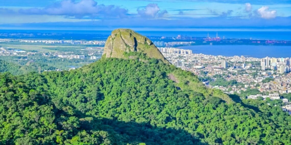 Parque da Fonte Grande, em Vitória, recebe caminhada noturna em celebração ao Dia Nacional da Mata Atlântica com observação da fauna, do céu e vista panorâmica da cidade.