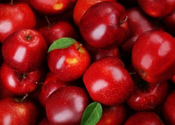Boletim da Conab mostra queda no preço da maçã, alface e laranja nas Ceasas brasileiras. Cenoura, cebola e melancia registraram forte alta em abril.
