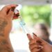 Fiocruz alerta para alta de casos de Síndrome Respiratória Aguda Grave em bebês causada pelo vírus sincicial respiratório. Influenza A também avança em vários estados brasileiros.