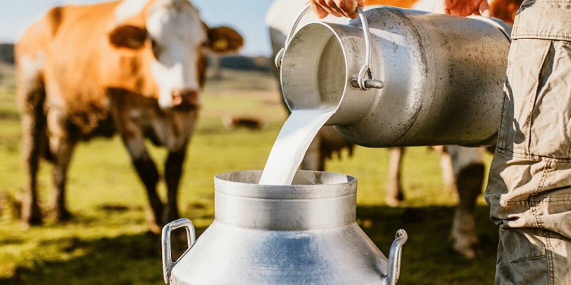 Seag participa da Agrintex ES 2026 com debate sobre sustentabilidade, inovação e sucessão familiar na pecuária leiteira capixaba em Cachoeiro de Itapemirim.