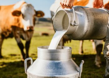 Seag participa da Agrintex ES 2026 com debate sobre sustentabilidade, inovação e sucessão familiar na pecuária leiteira capixaba em Cachoeiro de Itapemirim.