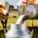 Seag participa da Agrintex ES 2026 com debate sobre sustentabilidade, inovação e sucessão familiar na pecuária leiteira capixaba em Cachoeiro de Itapemirim.