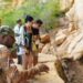 Unidades de Conservação brasileiras registraram recorde de 28,5 milhões de visitas em 2025. Turismo em áreas naturais movimentou R$ 21,6 bilhões e gerou mais de 219 mil empregos.
