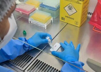 Secretaria de Saúde de Minas Gerais confirma primeira morte por hantavírus em 2026. Caso ocorreu em Carmo do Paranaíba e não tem relação com surto em navio de cruzeiro.
