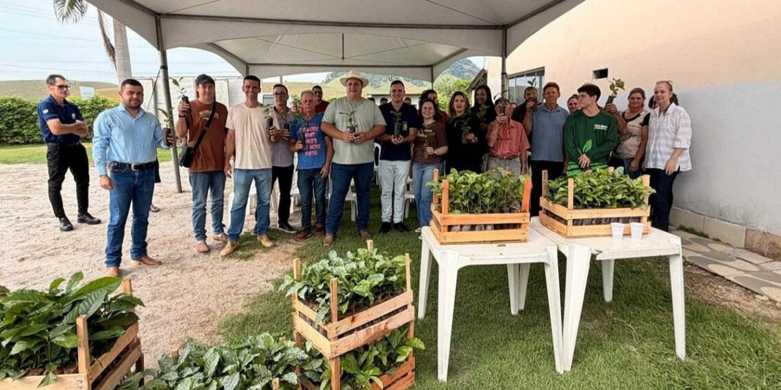 Projeto Arranjos Produtivos entrega 46 mil mudas de café conilon para agricultores familiares de Alfredo Chaves e fortalece produção sustentável no campo.