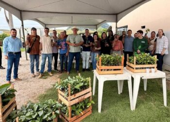 Projeto Arranjos Produtivos entrega 46 mil mudas de café conilon para agricultores familiares de Alfredo Chaves e fortalece produção sustentável no campo.