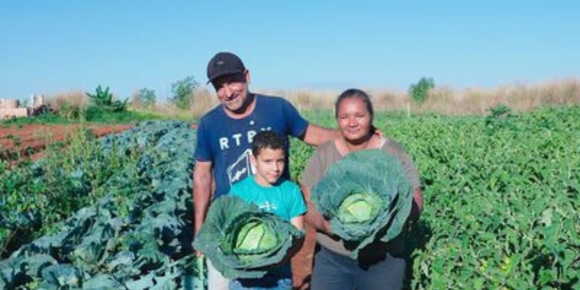 Dia da Trabalhadora e do Trabalhador Rural reforça importância da agricultura familiar no Brasil. Programas do MDA incentivam produção sustentável e autonomia das mulheres do campo.