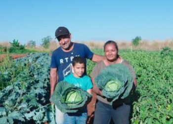 Dia da Trabalhadora e do Trabalhador Rural reforça importância da agricultura familiar no Brasil. Programas do MDA incentivam produção sustentável e autonomia das mulheres do campo.
