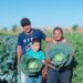 Dia da Trabalhadora e do Trabalhador Rural reforça importância da agricultura familiar no Brasil. Programas do MDA incentivam produção sustentável e autonomia das mulheres do campo.