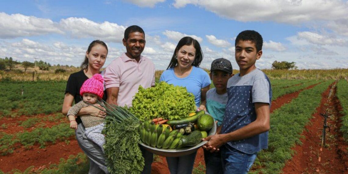 Desenrola Rural já beneficiou mais de 500 mil agricultores familiares e renegociou R$ 23 bilhões em dívidas. Nova etapa amplia prazo e oferece descontos de até 96%.