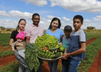 Desenrola Rural já beneficiou mais de 500 mil agricultores familiares e renegociou R$ 23 bilhões em dívidas. Nova etapa amplia prazo e oferece descontos de até 96%.