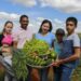 Desenrola Rural já beneficiou mais de 500 mil agricultores familiares e renegociou R$ 23 bilhões em dívidas. Nova etapa amplia prazo e oferece descontos de até 96%.