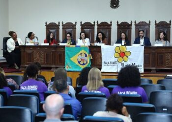 Audiência pública debateu violência sexual infantojuvenil nas redes sociais, desafios do ECA Digital e responsabilidade das plataformas na proteção de crianças e adolescentes.