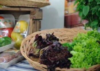 Ministério da Agricultura lança a XXII Campanha Nacional de Promoção do Produto Orgânico 2026 com foco em alimentação saudável, sustentabilidade e fortalecimento da agroecologia.