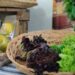 Ministério da Agricultura lança a XXII Campanha Nacional de Promoção do Produto Orgânico 2026 com foco em alimentação saudável, sustentabilidade e fortalecimento da agroecologia.