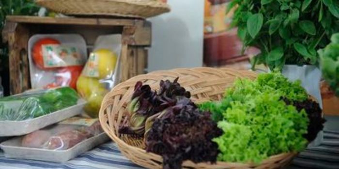 Ministério da Agricultura lança a XXII Campanha Nacional de Promoção do Produto Orgânico 2026 com foco em alimentação saudável, sustentabilidade e fortalecimento da agroecologia.