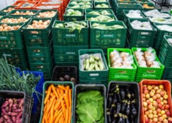 Salvador recebeu encontro nacional sobre redução do desperdício de alimentos, fortalecimento dos bancos alimentares e políticas públicas de segurança alimentar no Brasil.