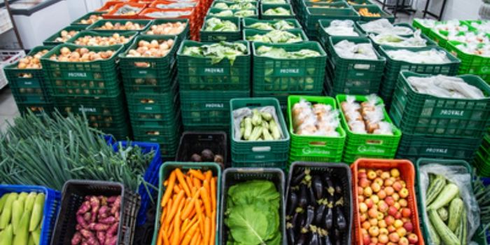 Salvador recebeu encontro nacional sobre redução do desperdício de alimentos, fortalecimento dos bancos alimentares e políticas públicas de segurança alimentar no Brasil.