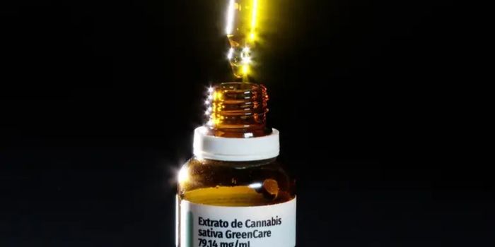 Levantamento da Blis Data mostra que mulheres acima de 45 anos lideram o uso de cannabis medicinal no Brasil. Distúrbios do sono, dor crônica e ansiedade estão entre as principais causas.