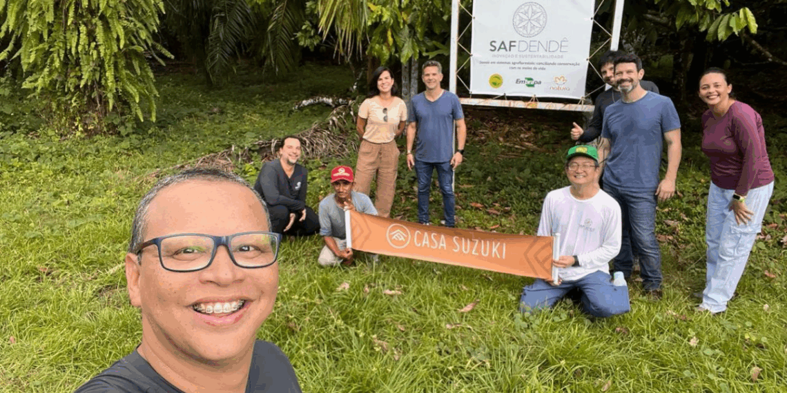 Sistema agroflorestal no Pará integra dendê, cacau e açaí e melhora produção agrícola.