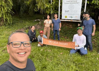 Sistema agroflorestal no Pará integra dendê, cacau e açaí e melhora produção agrícola.