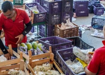 Governo federal lança Plano Safra da Agricultura Familiar 2026/2027 com R$ 97,3 bilhões em investimentos, mais crédito, juros menores e incentivo à produção sustentável.