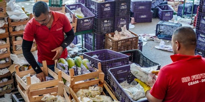 Governo federal lança Plano Safra da Agricultura Familiar 2026/2027 com R$ 97,3 bilhões em investimentos, mais crédito, juros menores e incentivo à produção sustentável.