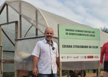Projeto Mulheres do Cacau apoia agricultoras capixabas com tecnologias sustentáveis, produção de amêndoas de qualidade e incentivo ao empreendedorismo feminino no campo.