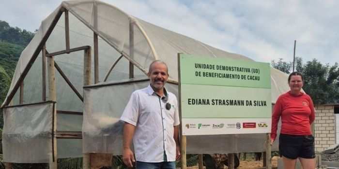 Projeto Mulheres do Cacau apoia agricultoras capixabas com tecnologias sustentáveis, produção de amêndoas de qualidade e incentivo ao empreendedorismo feminino no campo.