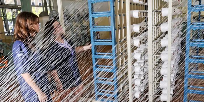 Finep financia projeto de R$ 25,7 milhões para modernizar a cadeia produtiva da malva na Amazônia, fortalecendo a bioeconomia e gerando oportunidades para comunidades ribeirinhas.