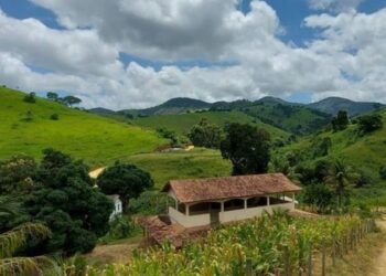 Programa Nacional de Crédito Fundiário supera R$ 1 bilhão em financiamentos, reduz inadimplência e beneficia mais de 6 mil famílias com acesso à terra em todo o país.