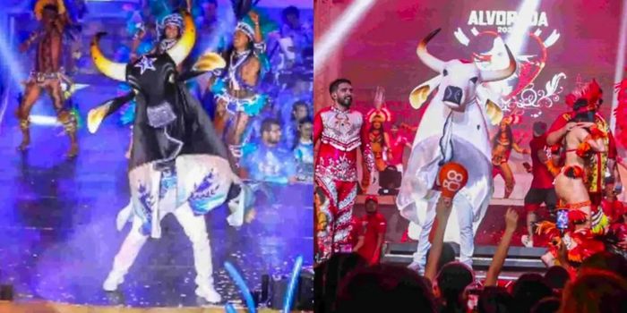 Garantido e Caprichoso disputam o título do Festival de Parintins 2026. Apuração das notas acontece nesta segunda-feira no Bumbódromo.