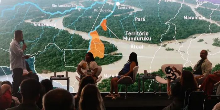 Estudo da Fiocruz mostra que gestantes e recém-nascidos indígenas da Terra Indígena Munduruku, no Pará, apresentam altos níveis de mercúrio no organismo, associados ao avanço do garimpo na Amazônia.