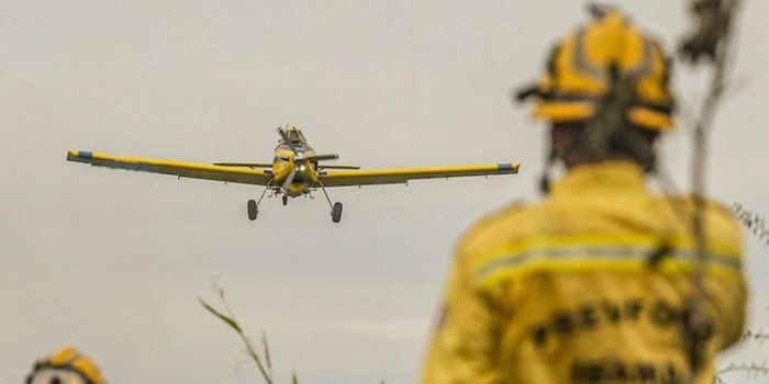 Governo Federal investe quase R$ 600 milhões no combate a incêndios florestais e reforça ações preventivas diante da previsão de um El Niño mais intenso em 2026.