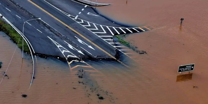 NOAA confirma o retorno do El Niño e prevê fortalecimento do fenômeno até 2027. Especialistas alertam para impactos no clima brasileiro, com secas e chuvas intensas.