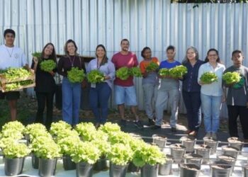 Projeto do Incaper em escola de Vitória utiliza cultivo vertical, irrigação inteligente e sistema semi-hidropônico para testar tecnologias de agricultura urbana sustentável.