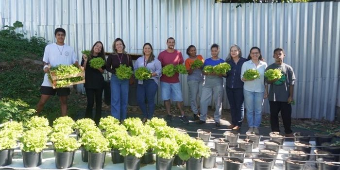 Projeto do Incaper em escola de Vitória utiliza cultivo vertical, irrigação inteligente e sistema semi-hidropônico para testar tecnologias de agricultura urbana sustentável.