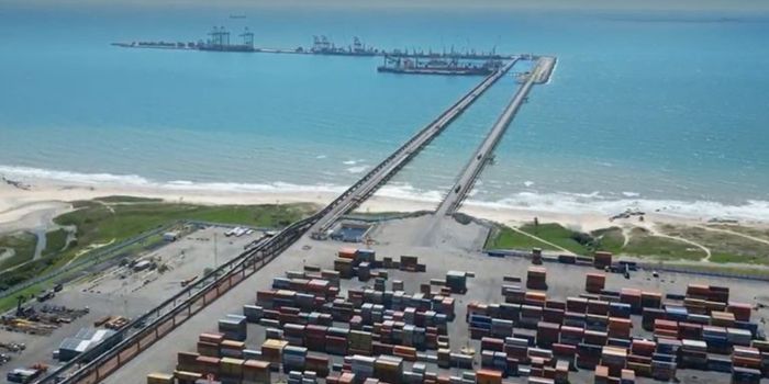 Exportações de carne bovina do Nordeste crescem 51,38% no primeiro trimestre de 2026, superando a média nacional e fortalecendo a participação da região no mercado internacional.