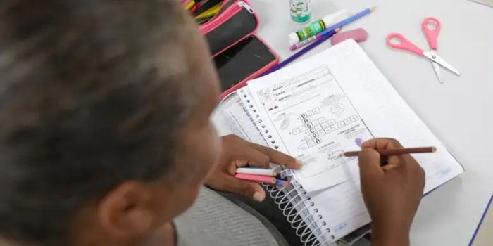 Taxa de analfabetismo cai para 4,9% em 2025 e atinge menor nível já registrado. Pesquisa do IBGE aponta avanços e desigualdades persistentes.