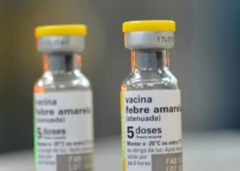 Estado de São Paulo contabiliza 11 casos de febre amarela e reforça orientação para vacinação antes de viagens a áreas de risco.
