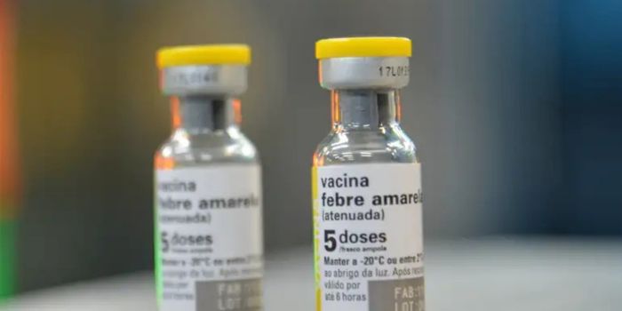 Estado de São Paulo contabiliza 11 casos de febre amarela e reforça orientação para vacinação antes de viagens a áreas de risco.