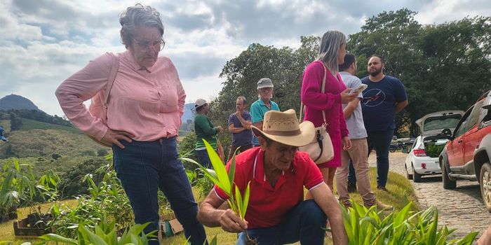 Projeto Arranjos Produtivos realiza primeira entrega oficial em Ibiraçu com mais de 6 mil mudas de pupunha e bambu guadua, fortalecendo a agricultura familiar e a diversificação de culturas.