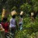 Unidades de Conservação federais protegem biodiversidade, territórios tradicionais e recursos naturais. Sistema administrado pelo ICMBio é fundamental para enfrentar as mudanças climáticas e promover desenvolvimento sustentável.