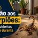 Espírito Santo registrou 2.249 acidentes com escorpiões entre janeiro e maio. Especialistas alertam para riscos durante todo o ano e orientam sobre prevenção e atendimento.