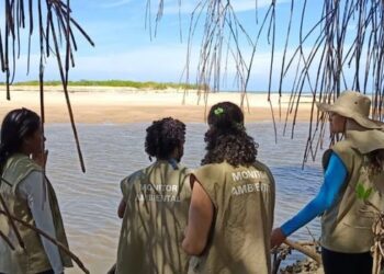Parque Estadual de Itaúnas abre seleção para voluntários em Conceição da Barra. São quatro vagas para atividades ambientais entre junho e julho de 2026.