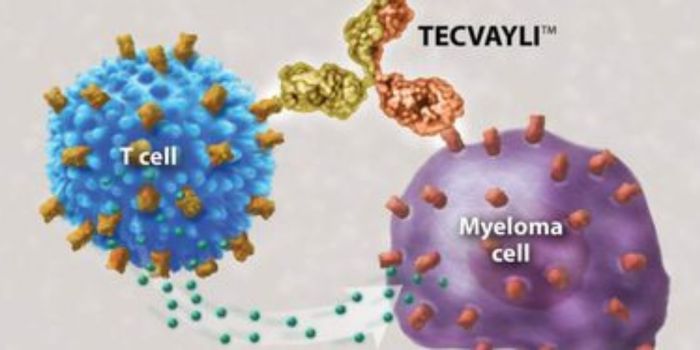 Anvisa aprova ampliação do uso do Tecvayli para tratamento de mieloma múltiplo recidivado ou refratário em pacientes adultos.