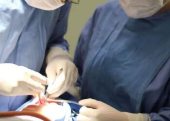 Fissura labiopalatina afeta cerca de 5 mil crianças por ano no Brasil. Especialistas destacam a importância do diagnóstico precoce e da reabilitação multidisciplinar.