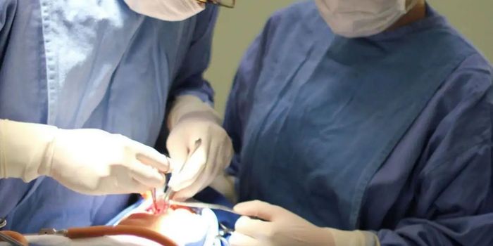 Fissura labiopalatina afeta cerca de 5 mil crianças por ano no Brasil. Especialistas destacam a importância do diagnóstico precoce e da reabilitação multidisciplinar.